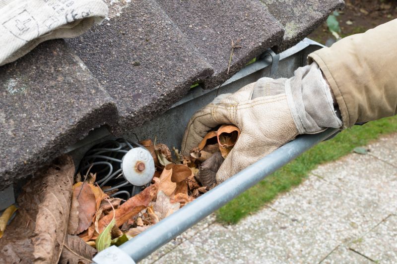 Clogged Gutter Clearing in Monmouth County, NJ