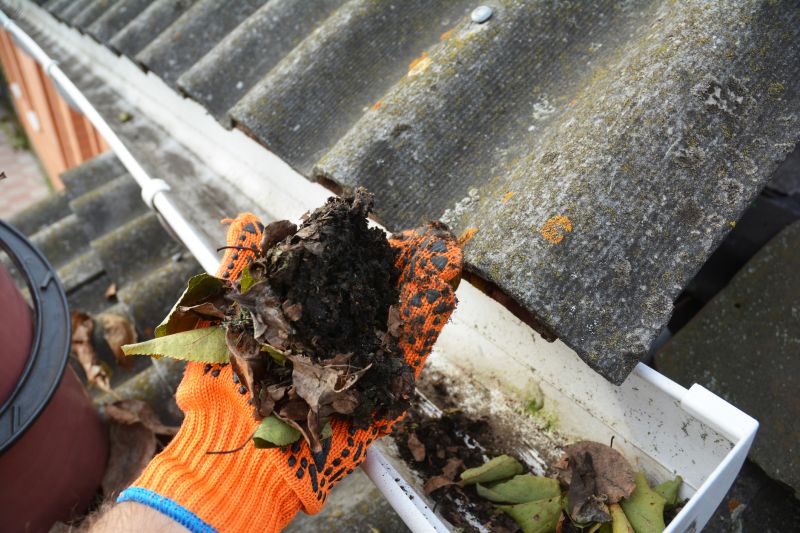 Gutter Cleaning in Fredericksburg, VA