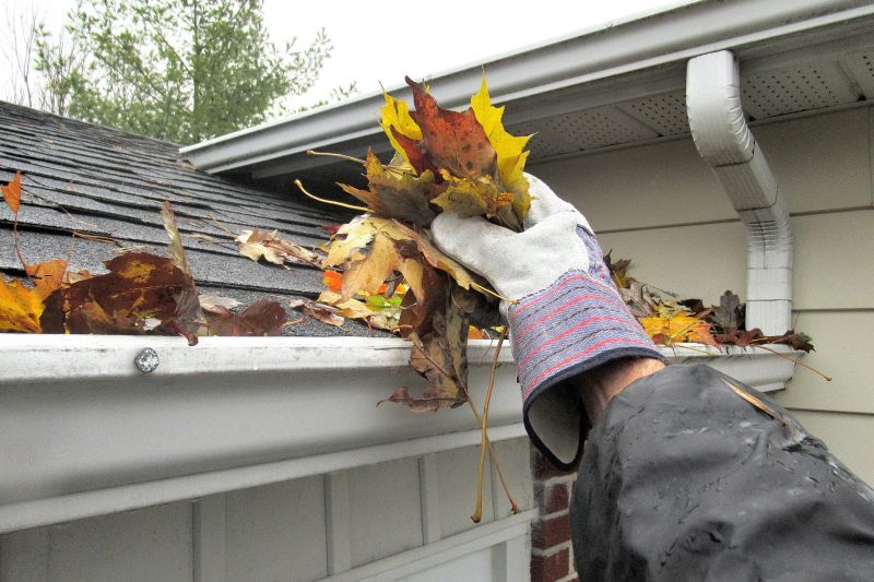 Gutter Leaves Removal in Baltimore, MD